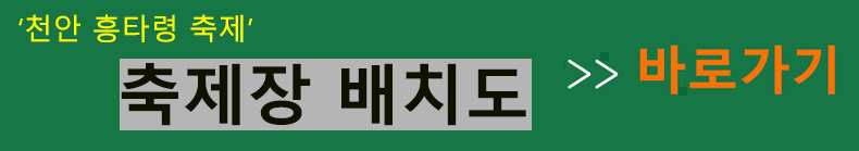 축제장 배치도