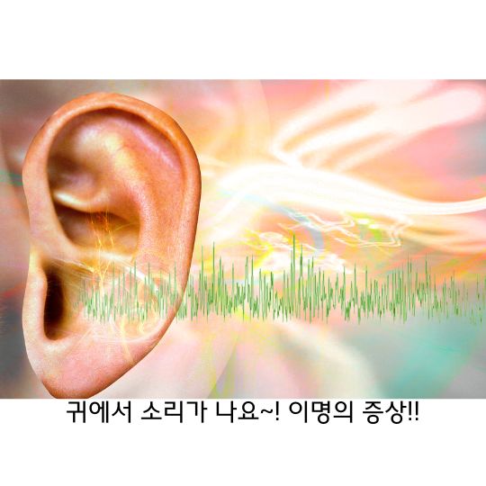  이명 삶의 질에 영향을 주는 질환