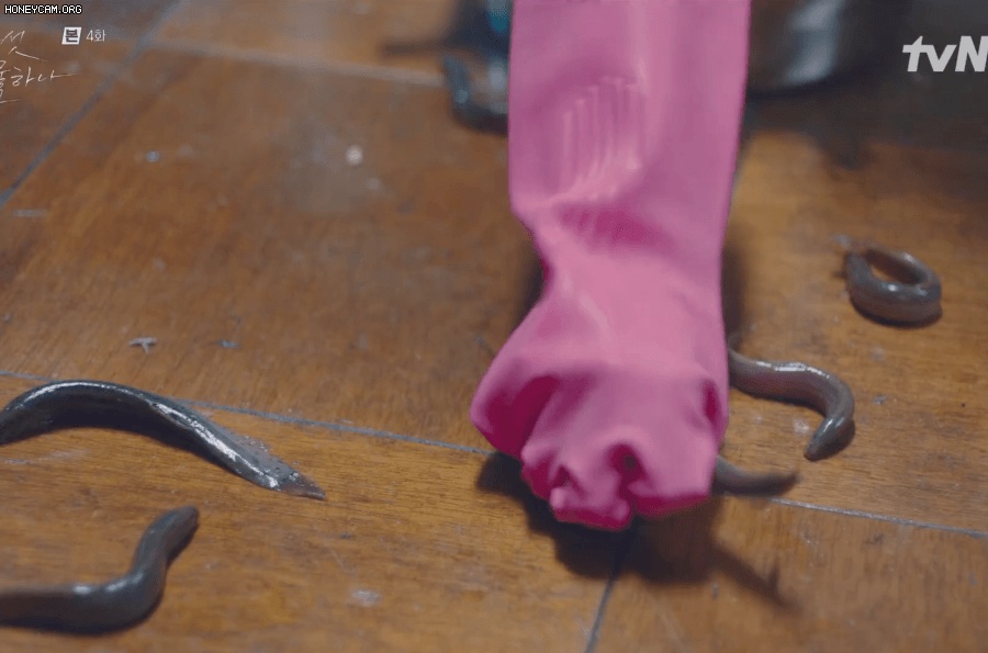 img.gif