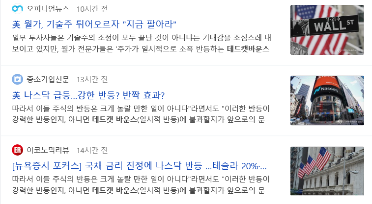 데드캣 바운스 (Dead Cat Bounce), 기회인가 위기의 시작인가 데드캣 바운스 (Dead Cat Bounce), 기회인가 위기의 시작인가