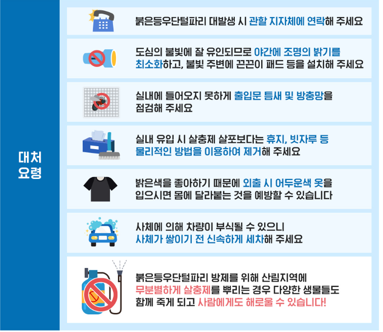 러브버그 대처방법