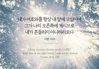 시편 84장 11절 읽기 - 여호와 하나님은 해요 방패이시라 여호와께서 은혜와 영화를 주시며_5