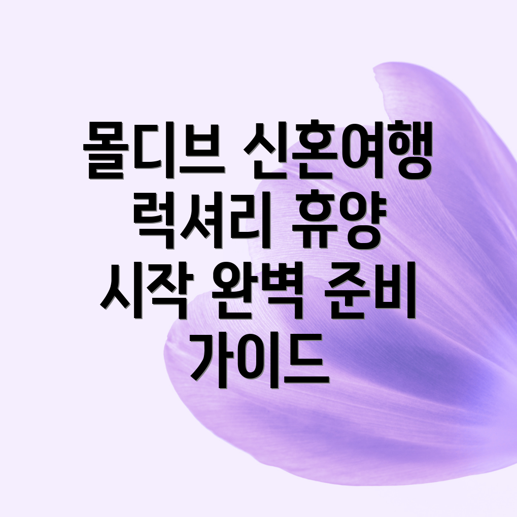 몰디브 신혼여행