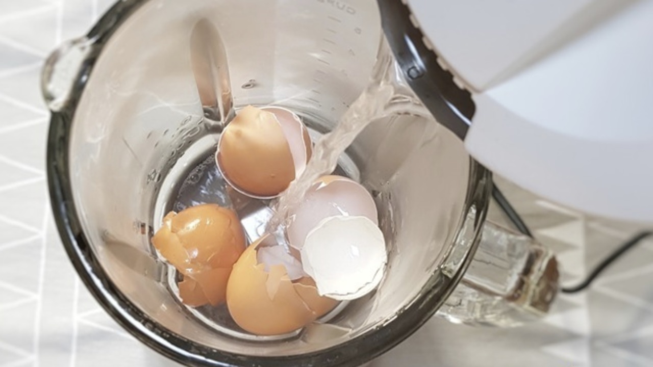 믹서기 계란껍질 청소