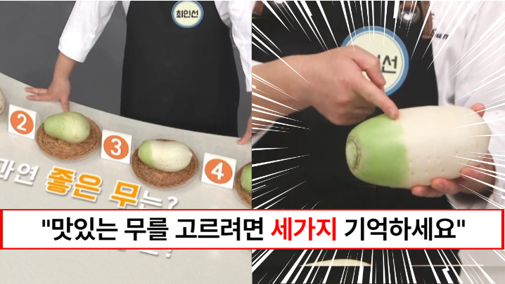 “맛있는 무는 이곳을 봐야합니다” 달달하고 시원한 맛이 완벽한 맛있는 무 고르는 방법 3가지