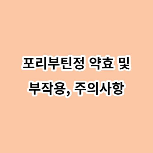 포리부틴정 약효