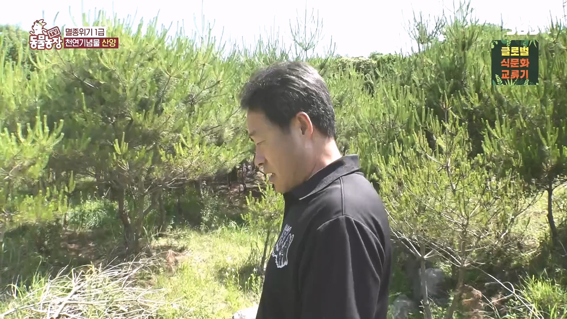 TV 동물농장.E1185.240818p.H264-F1RST.mp4_20240818_161609.823.jpg