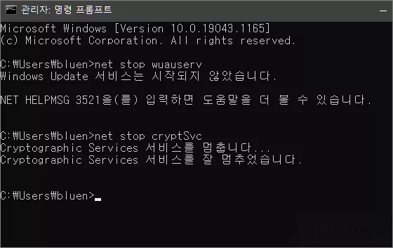  윈도우 업데이트 오류 0xc19001e2 해결 방법