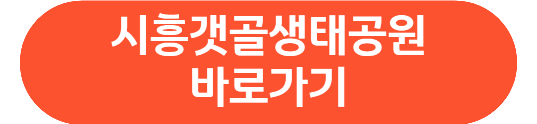 9월 가을 지역축제 소풍 나들이 전국