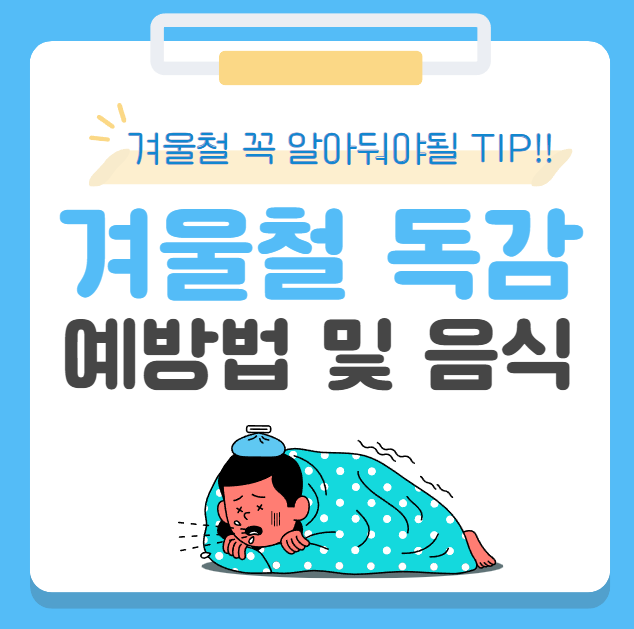 독감에 좋은음식