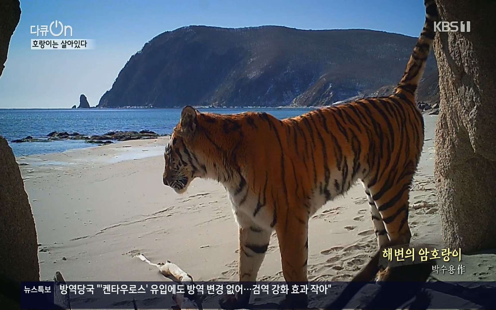 다큐 On.E150.220729p.H264-F1RST.mp4_20220730_164039.510.jpg