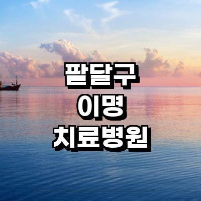 수원 팔달구 이명