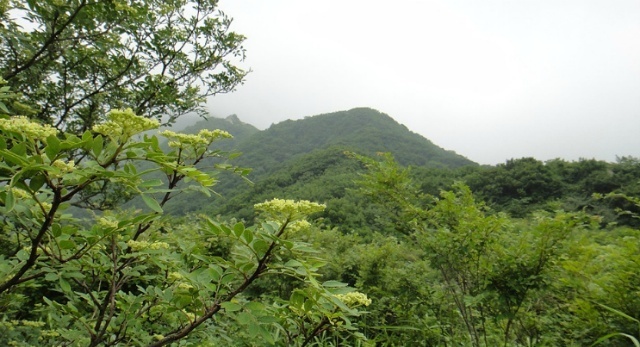  함안 월봉산.거망산 [남령~거망산~용추사]