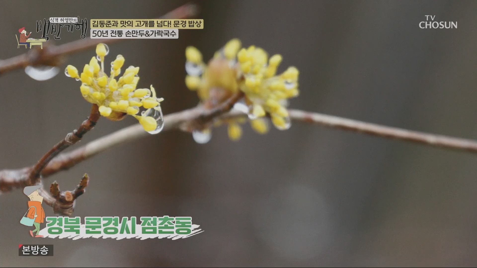 식객 허영만의 백반기행.E245.240428p.H264-F1RST.mp4_20240429_211848.595.jpg