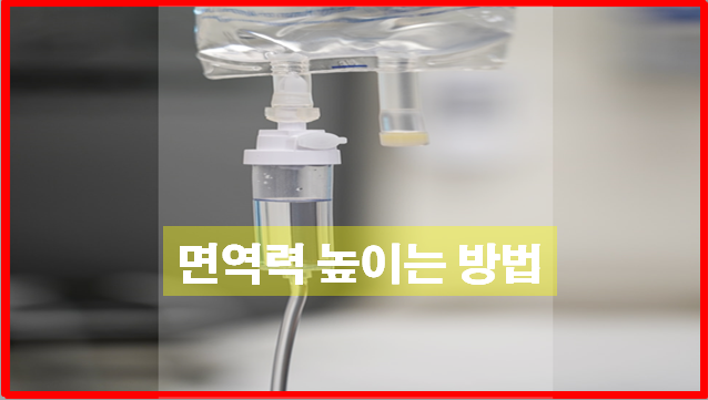  면역력을 알아야 산다