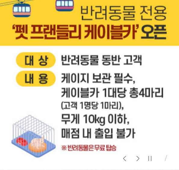 통영 케이블카 반려동물 탑승 가능