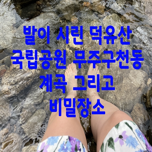  발이 시린 덕유산 국립공원 무주구천동 계곡 그리고 비밀장소