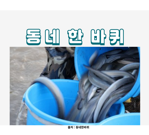 강화도갯벌장어