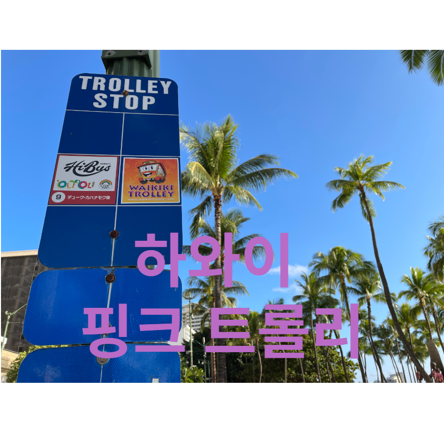  하와이 핑크 트롤리 온라인 구입방법