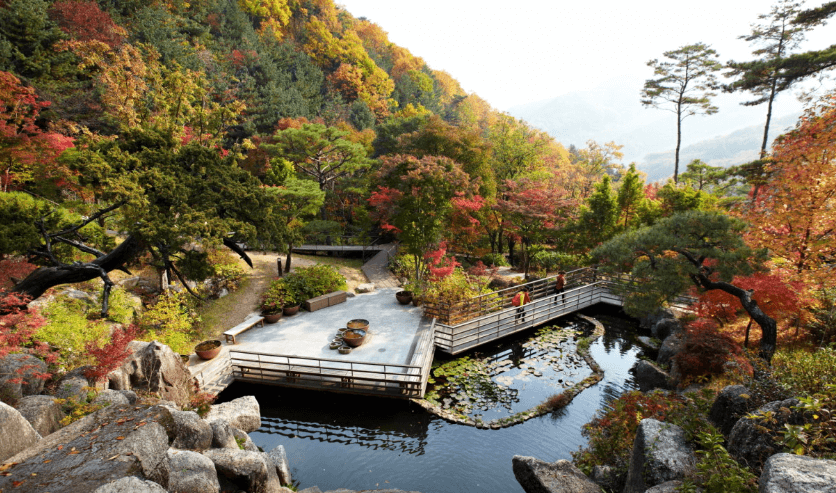 화담숲 모노레일 예약 추천코스 - 화담숲 풍경 사진