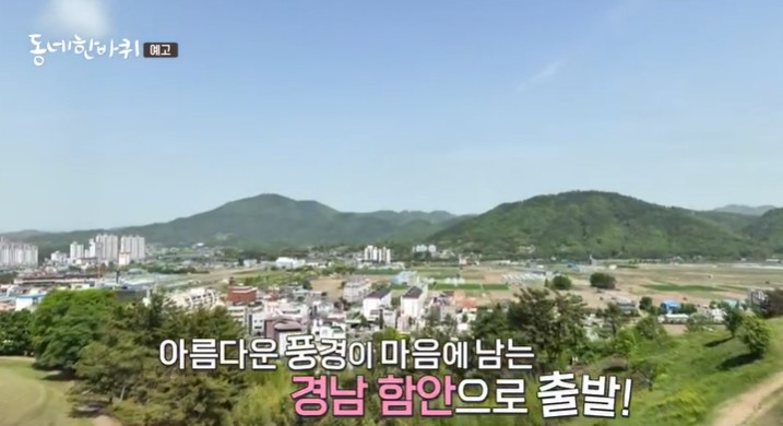 경상남도-함안