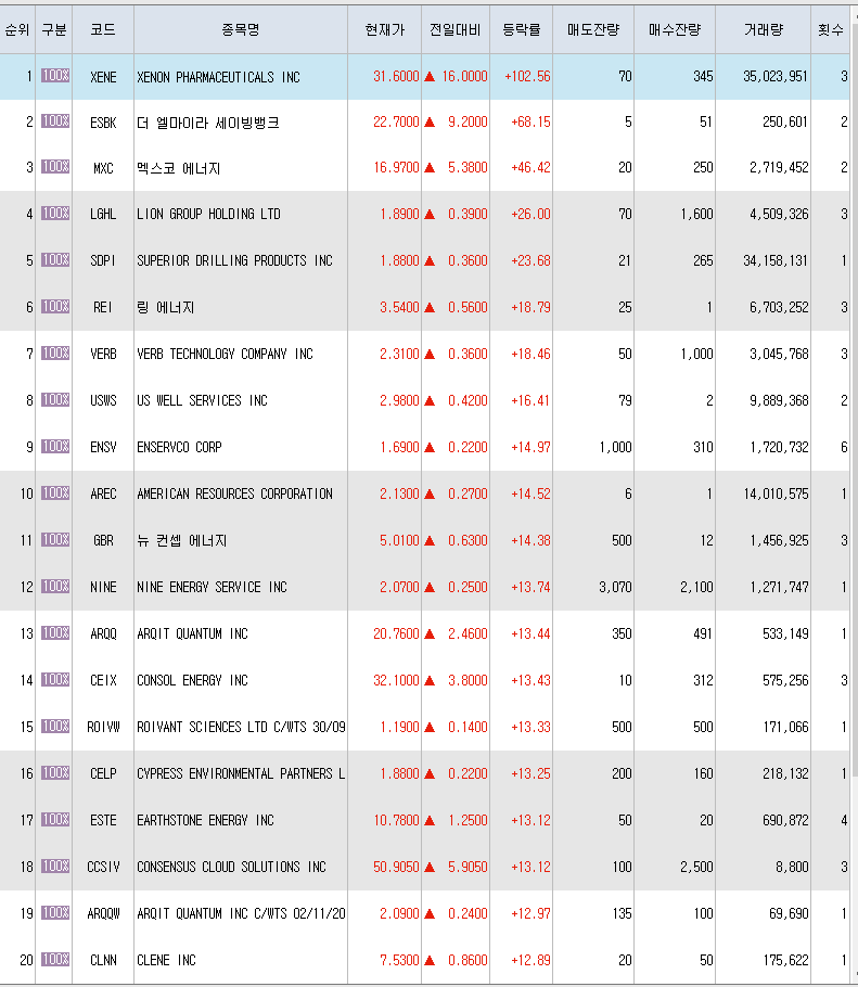  10월4일 미국주식 상승률 상위 종목 TOP 300