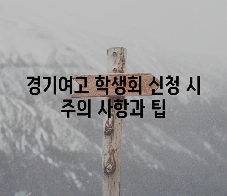 경기여고 학생회 신청 시 주의 사항과 팁