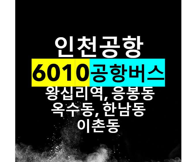  왕십리역, 응봉동, 한남동, 동부이촌동, 이촌 인천공항 버스 / 6010번 공항리무진, 노선도, 시간표, 요금, 버스타는 곳