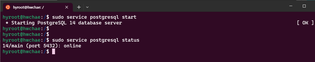 $ sudo service postgresql start