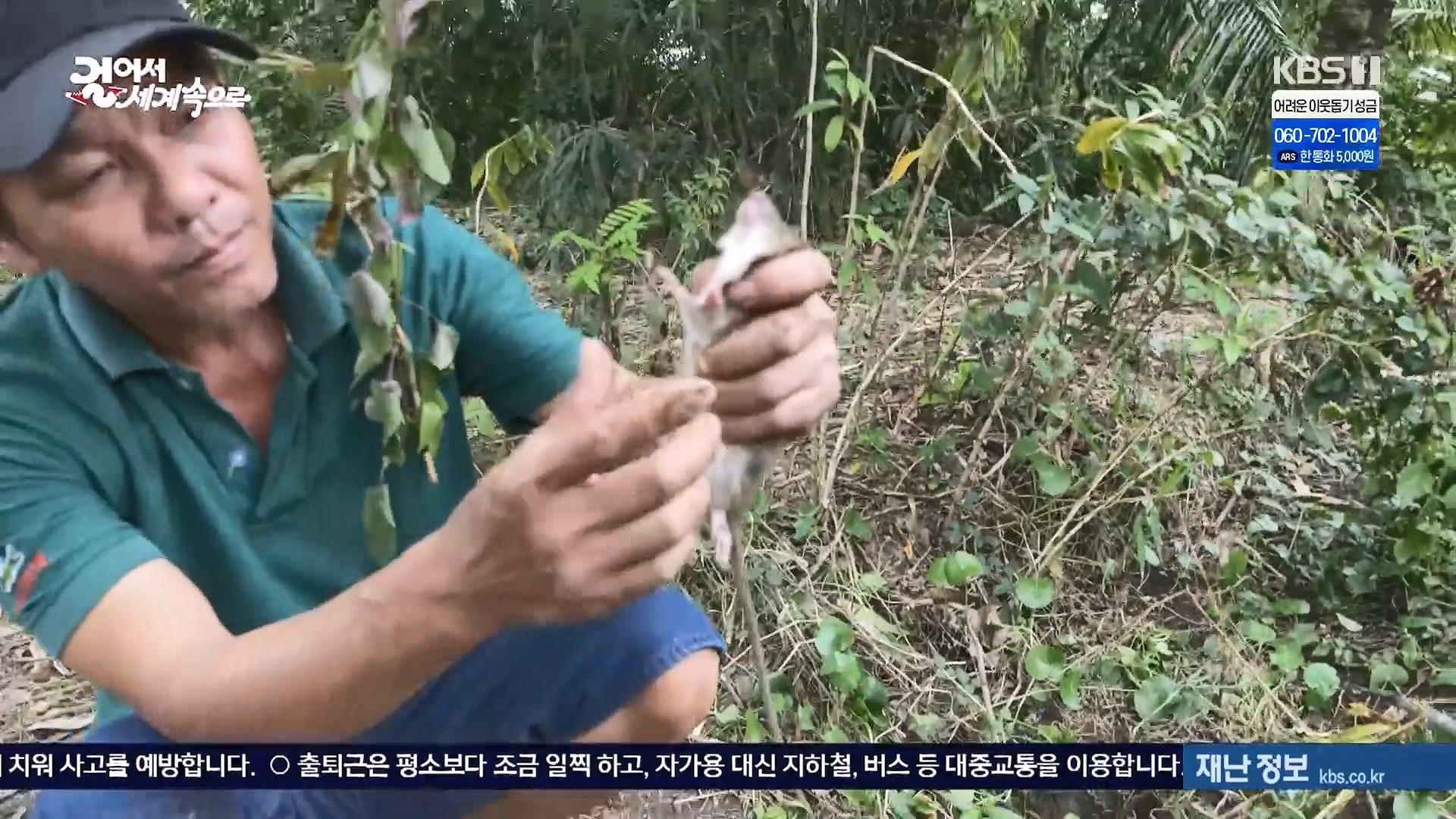 걸어서 세계속으로.E826.240120p.H264-F1RST.mp4_20240716_202135.664.jpg