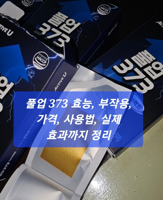 풀업 373