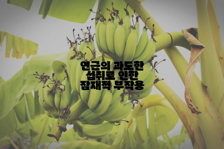 연근의 과도한 섭취로 인한 잠재적 부작용