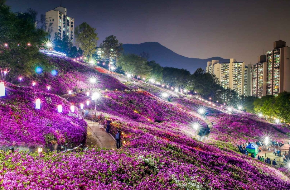 가정의 달 5월 서울 경기 봄꽃 축제 가족 나들이