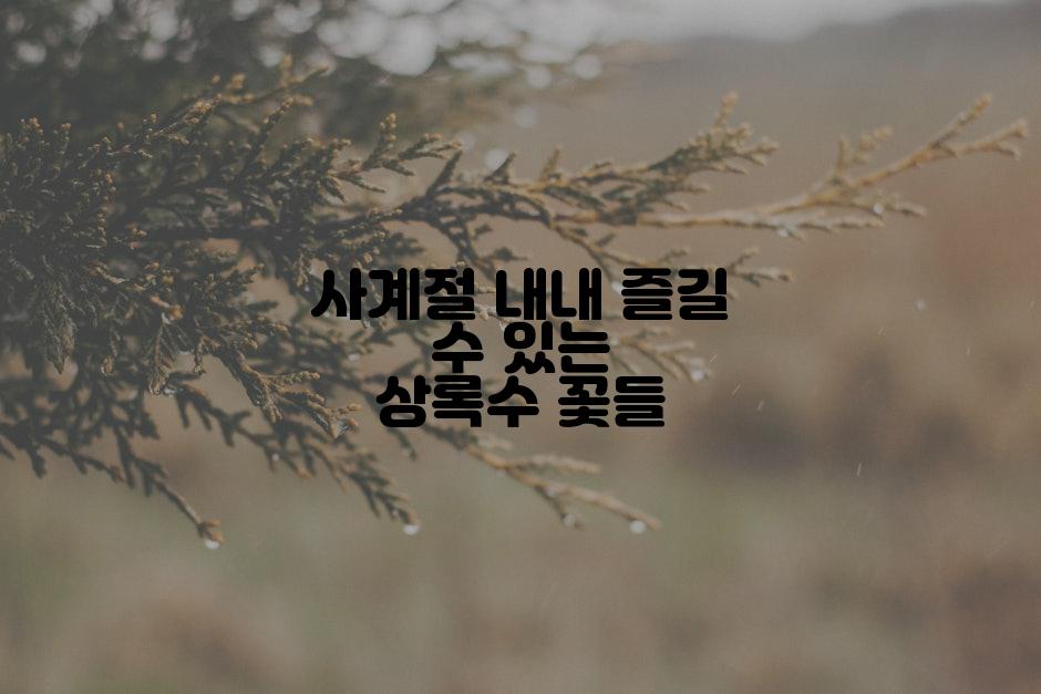 사계절 내내 즐길 수 있는 상록수 꽃들