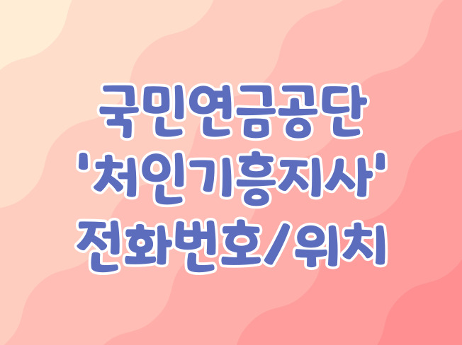 국민연금공단 용인처인기흥지사 전화번호 1