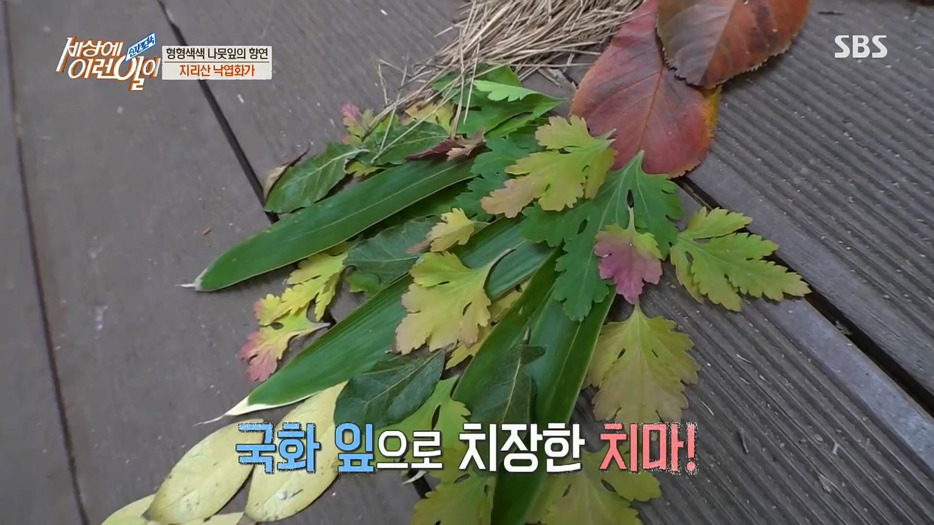 순간포착 세상에 이런일이.E1211.221227p.H264-F1RST.mp4_20221228_195149.150.jpg