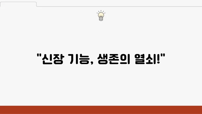 인공신장실 신장의 기능과 투석 방법의 선택