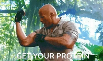 Protein