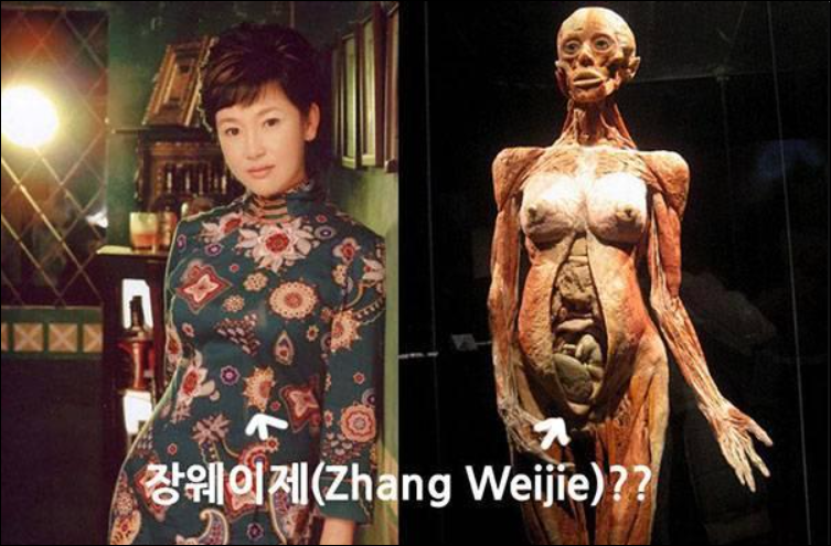  장웨이제 미스테리사건