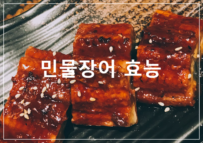 민물장어 효능