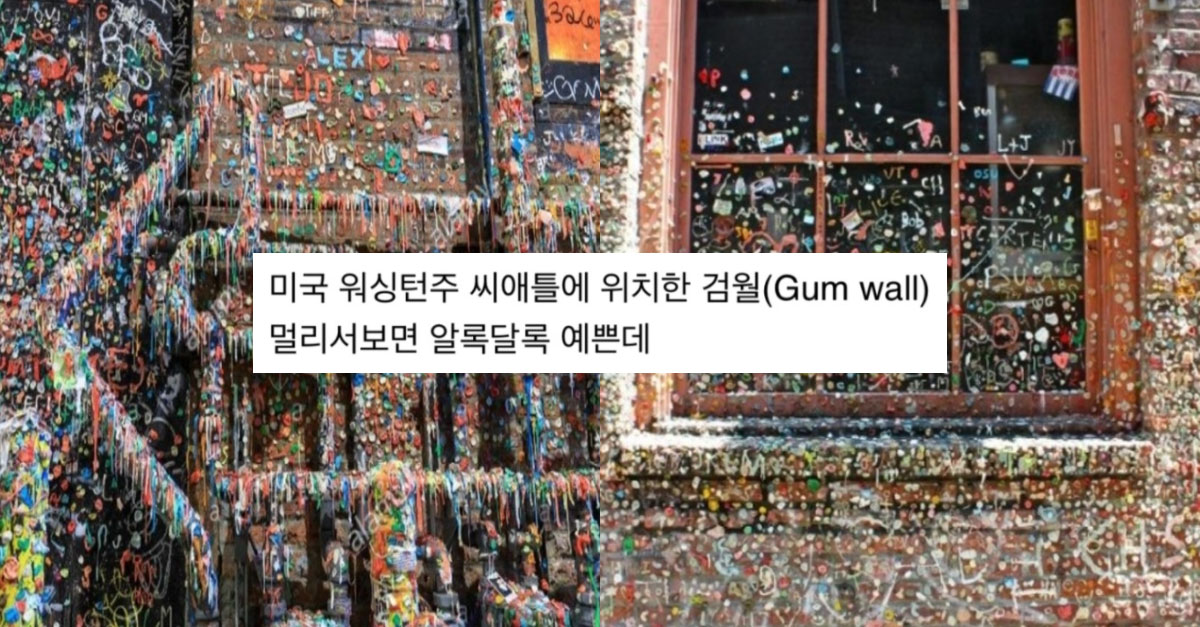  미국의 더러운 관광지