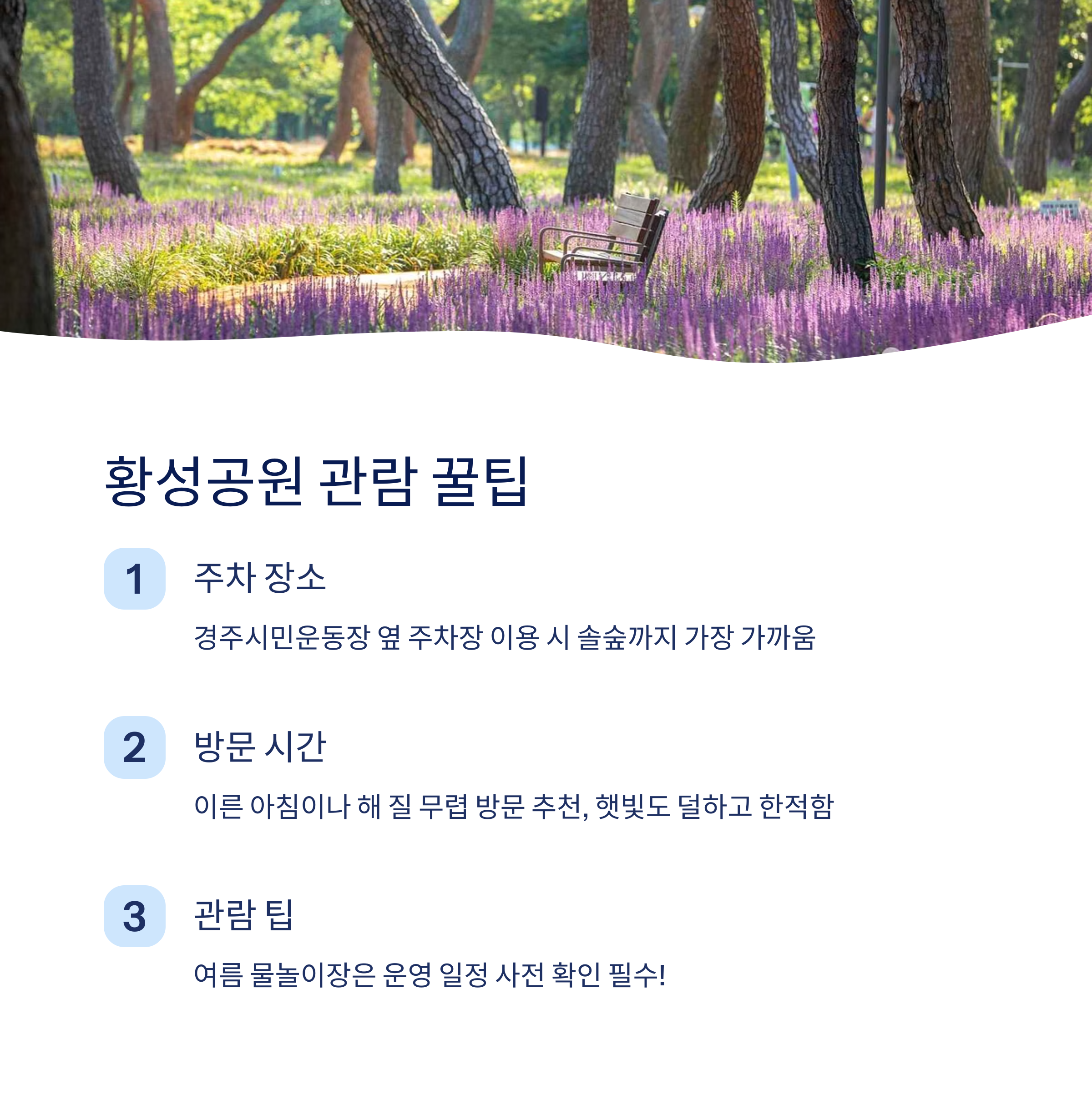 관람 꿀팁