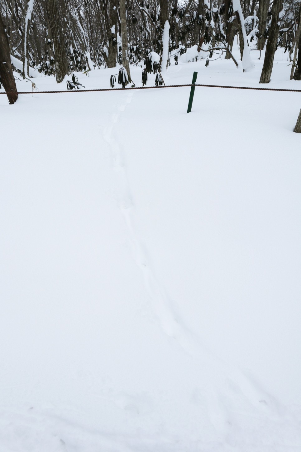 눈쌓인 겨울산 이미지 81