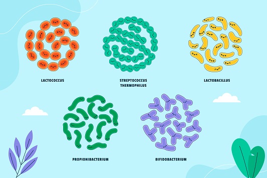 Types-and-functions-of-enzymes
