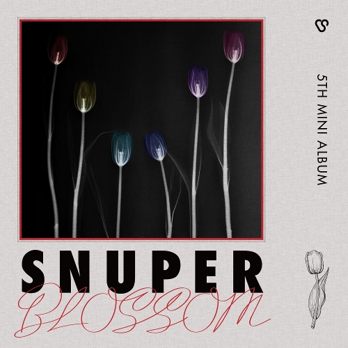  스누퍼 (SNUPER) Blossom (Intro) 듣기/가사/앨범/유튜브/뮤비/반복재생/작곡작사