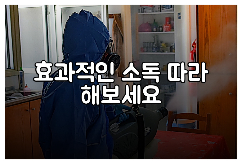 효과적인 소독 따라 해보세요