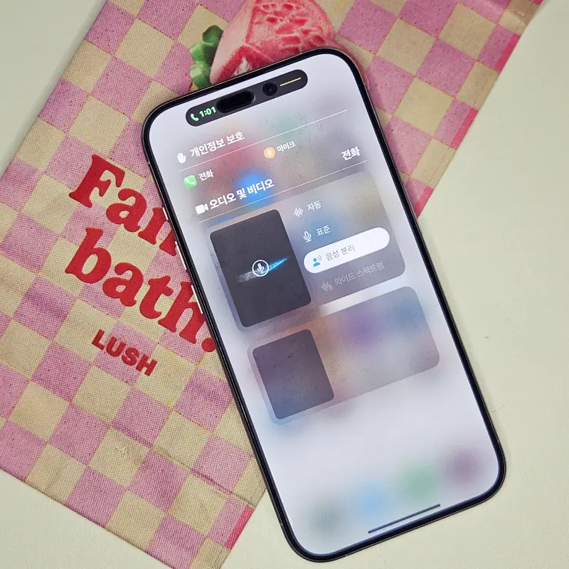 iPhone-음성분리