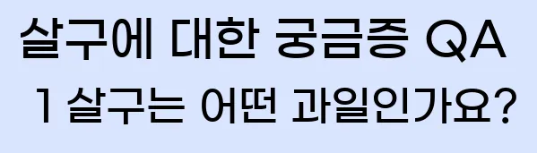  살구에 대한 궁금증 QA 1 살구는 어떤 과일인가요?