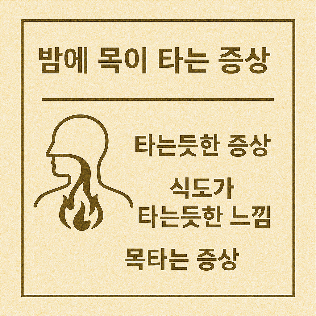 밤에 목이 타는 증상 타는듯한 증상 식도가 타는듯한 느낌 목타는 증상