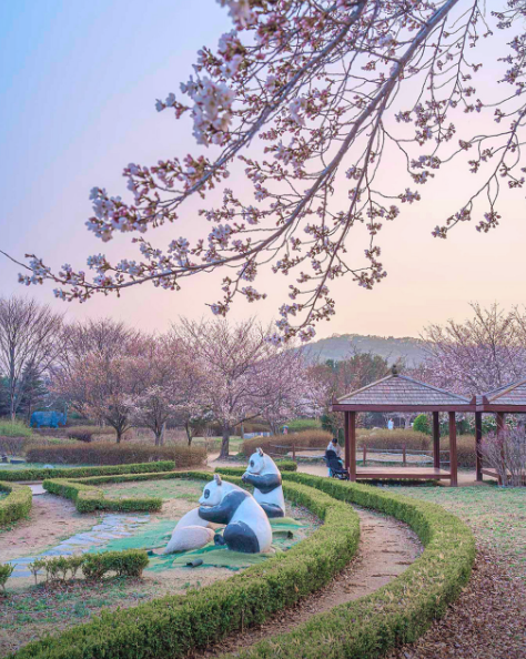 인천대공원 벚꽃축제4